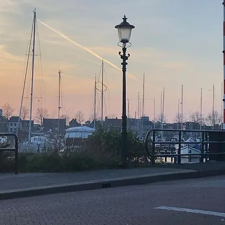 Gezellige Pipo Met Grote Schommel Aan Het Water