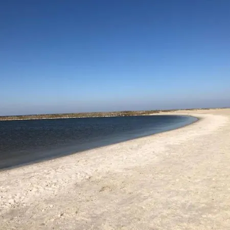 Hébergement de vacances Gezellige Pipo Met Grote Schommel Aan Het Water Medemblik
