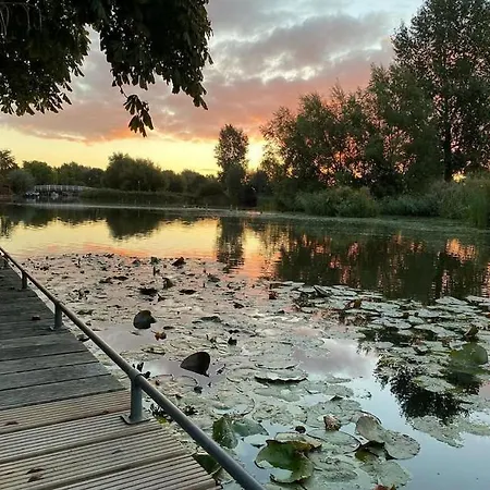 Gezellige Pipo Met Grote Schommel Aan Het Water En Hottub Holiday home *